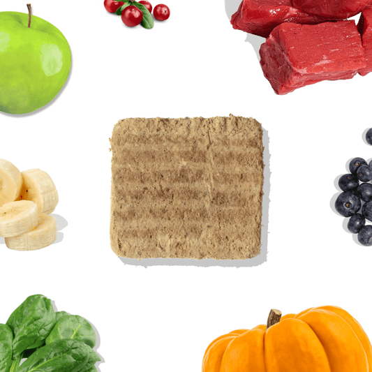 Beef Meal Patties – Gut-Friendly Freeze-Dried Dog Food