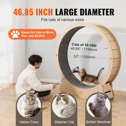 52" Cat Exercise Wheel – Large Indoor Running Wheel with Detachable Carpet