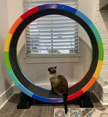 48" Rainbow Cat Exercise Wheel – Quiet, Soft EVA Track & Modern Design for Indoor Cats