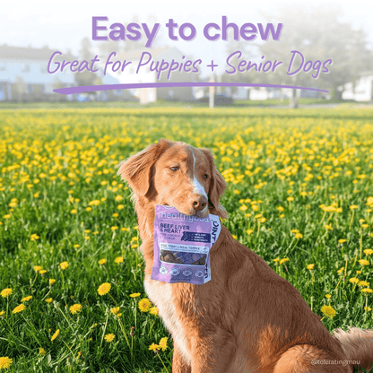 Beef Joint Booster – Mobility & Joint Support Chews