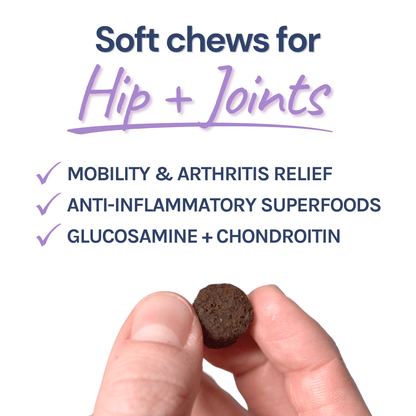 Beef Joint Booster – Mobility & Joint Support Chews