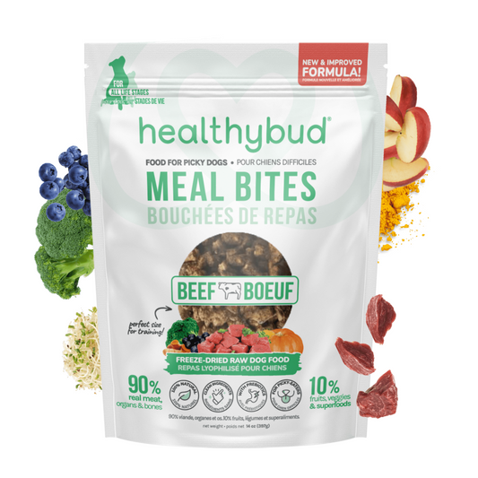 Beef Meal Bites – Gut-Supporting Freeze-Dried Dog Food