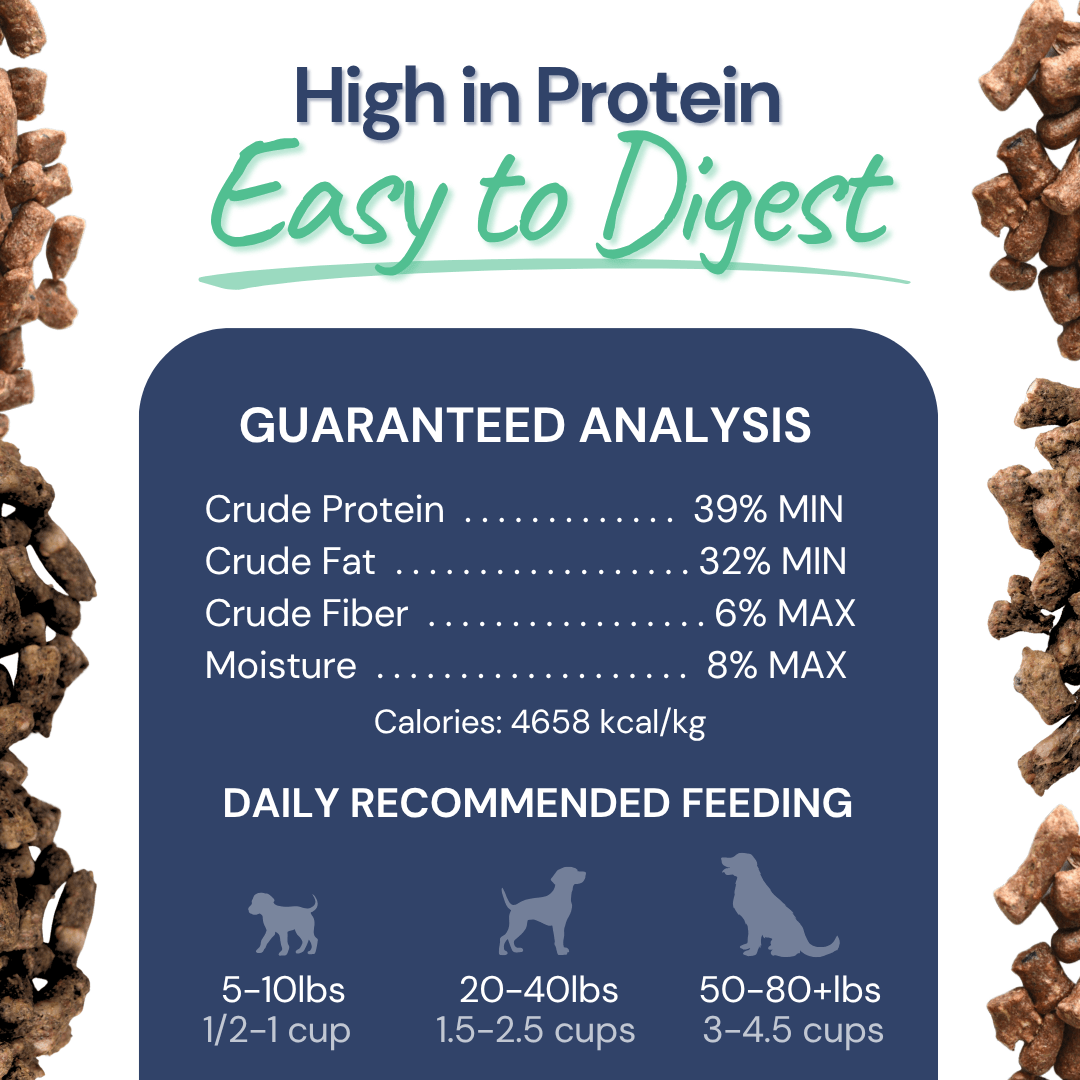 Beef Meal Bites – Gut-Supporting Freeze-Dried Dog Food