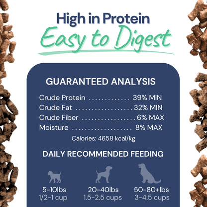 Beef Meal Bites – Gut-Supporting Freeze-Dried Dog Food