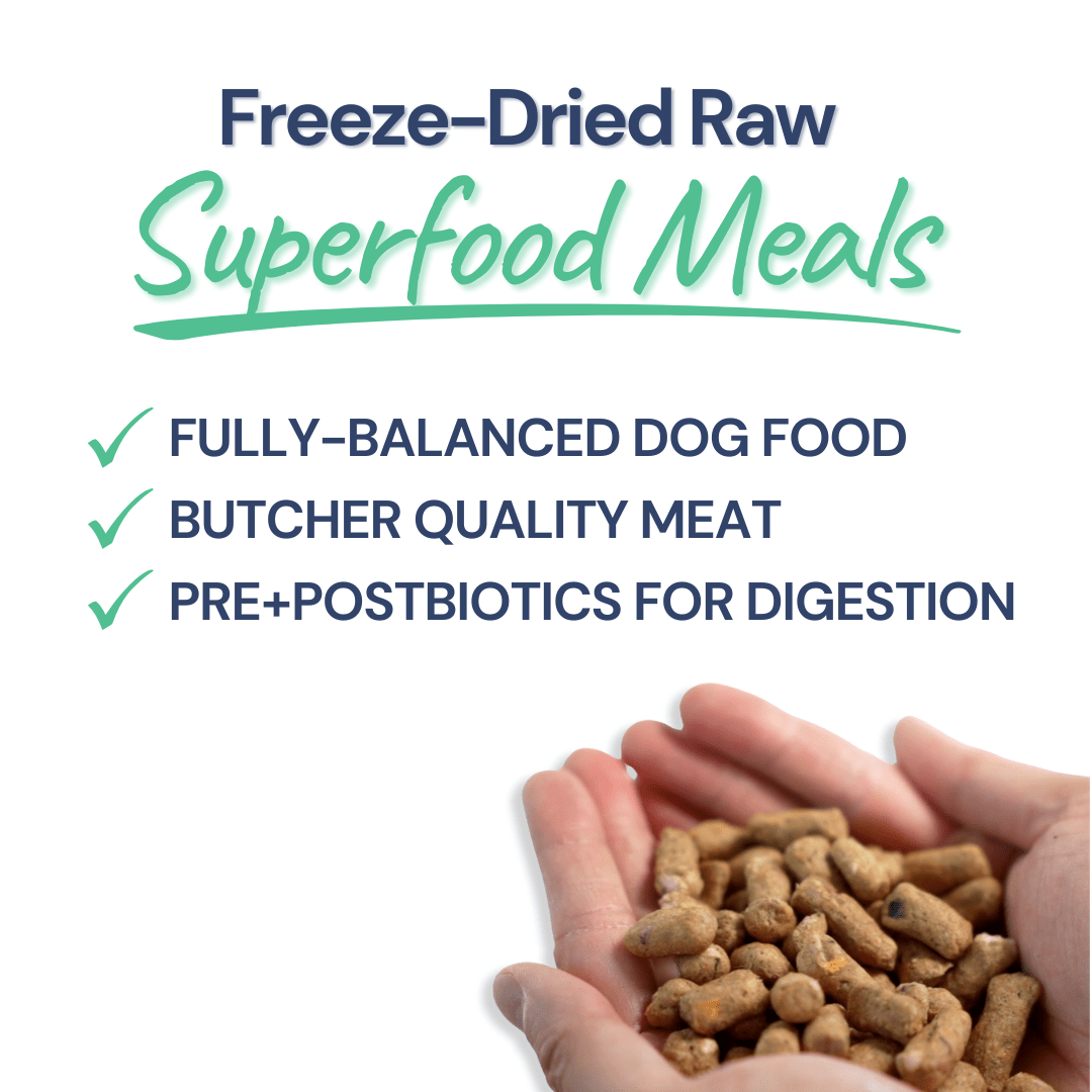 Beef Meal Bites – Gut-Supporting Freeze-Dried Dog Food