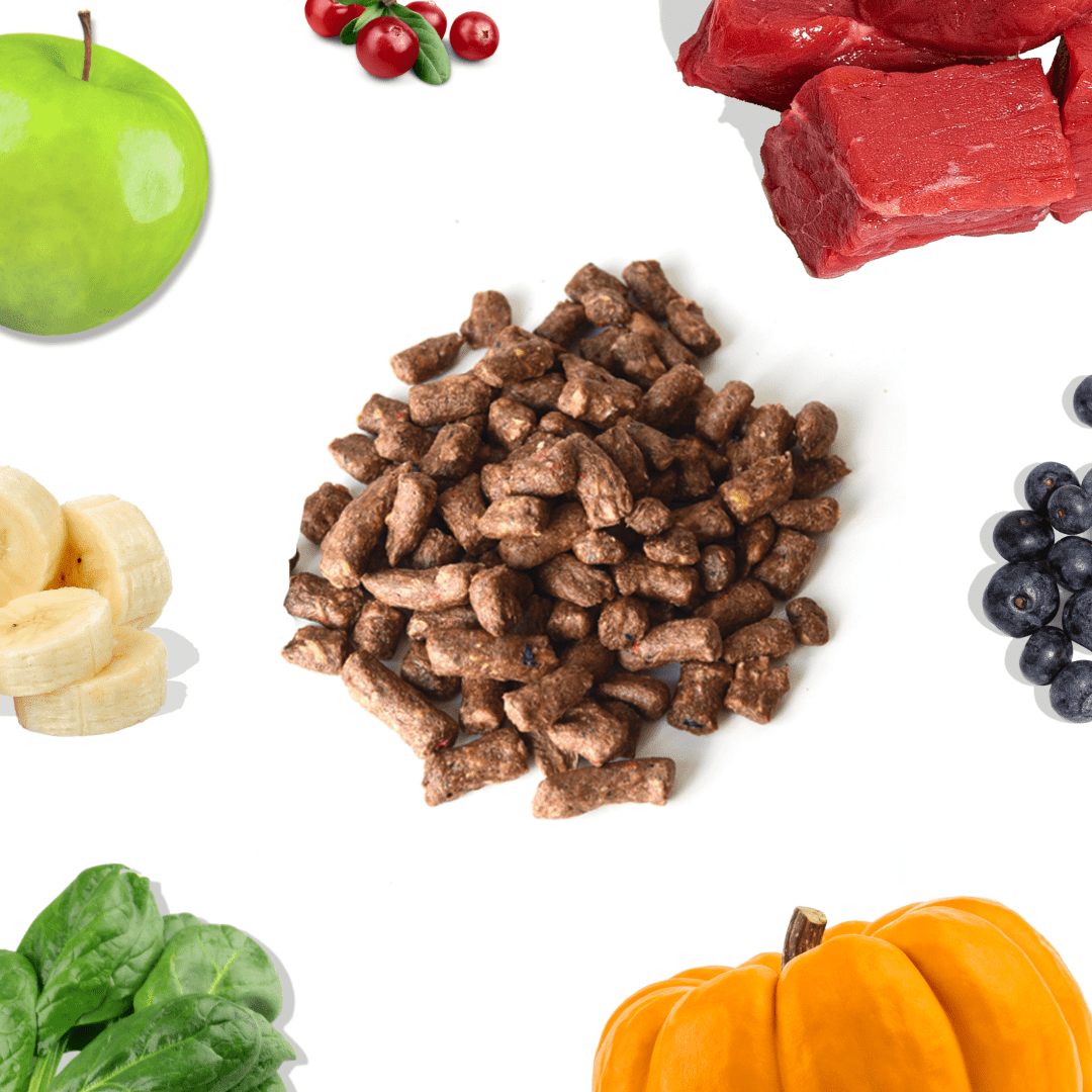 Beef Meal Bites – Gut-Supporting Freeze-Dried Dog Food