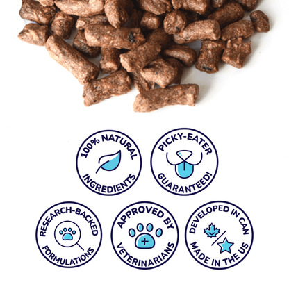 Beef Meal Bites – Gut-Supporting Freeze-Dried Dog Food
