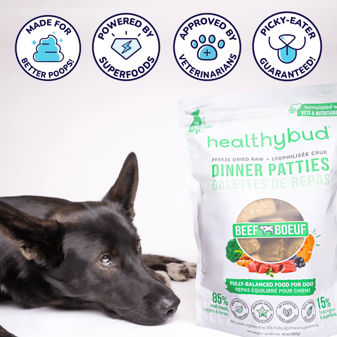 Beef Meal Patties – Gut-Friendly Freeze-Dried Dog Food