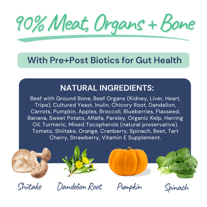 Beef Meal Bites – Gut-Supporting Freeze-Dried Dog Food