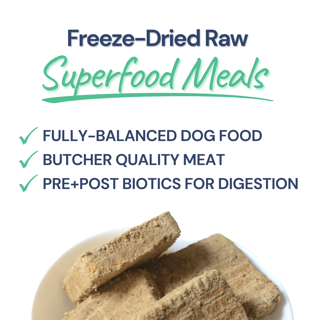 Beef Meal Patties – Gut-Friendly Freeze-Dried Dog Food