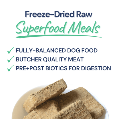 Beef Meal Patties – Gut-Friendly Freeze-Dried Dog Food