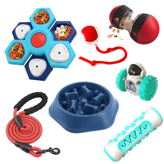 Dog Essentials Combo – Slow Feeders & Chew Toys